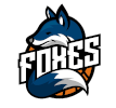 https://img.fjordweb.com/img/basketball/team/73dbd9dfc3ff151f1a54a96a90cd9188.png